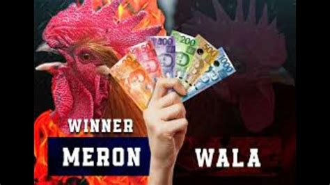 Demystifying MERON and WALA: Decoding Key Terms in Online .